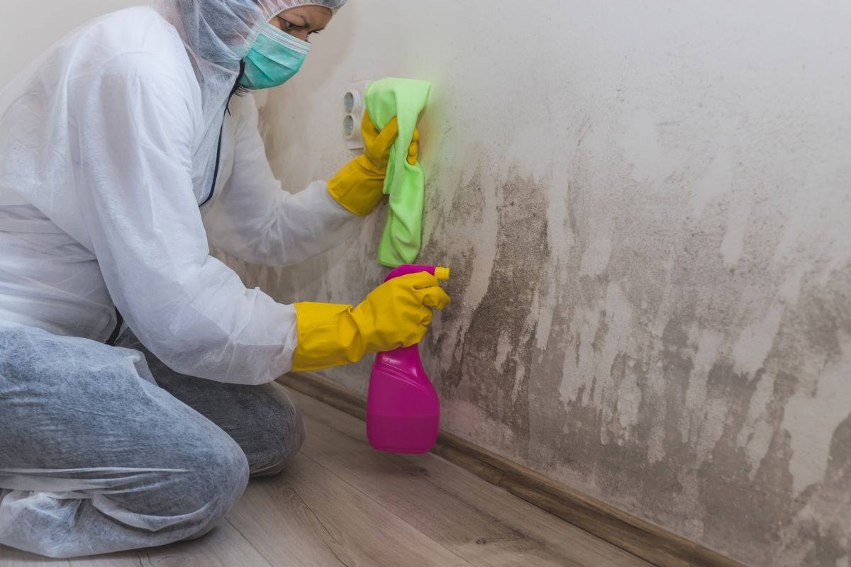 Mold Remediation Service, Mold Remediation, Mold Testing, Mold Testing Service