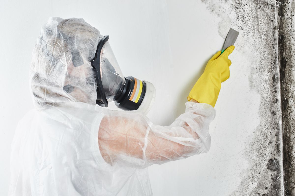 Mold Remediation Service, Mold Remediation, Mold Testing, Mold Testing Service